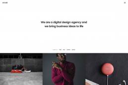 Portfolio Agency